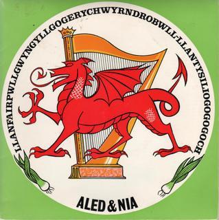 Aled Hughes, Nia (11) - Llanfairpwllgwyngyllgogerychwyrndrobwll-llantysiliogogogoch.
