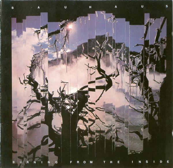 Bauhaus - Burning From The Inside