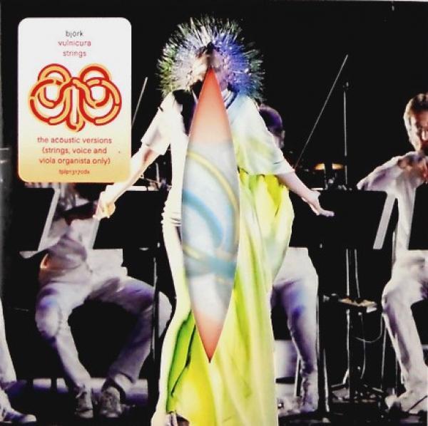 Björk - Vulnicura Strings