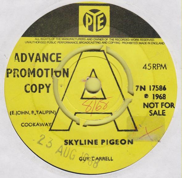 Guy Darrell - Skyline Pigeon