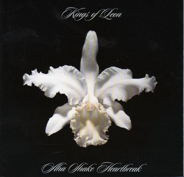Kings Of Leon - Aha Shake Heartbreak