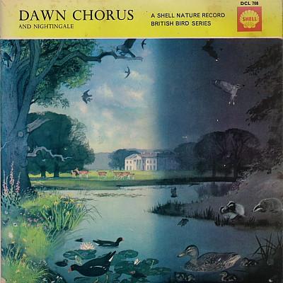 Lawrence Shove - Dawn Chorus And Nightingale