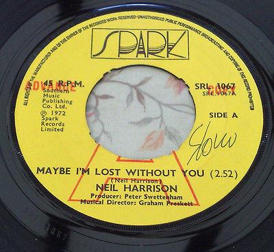 Neil Harrison - Maybe I'm Lost Without You