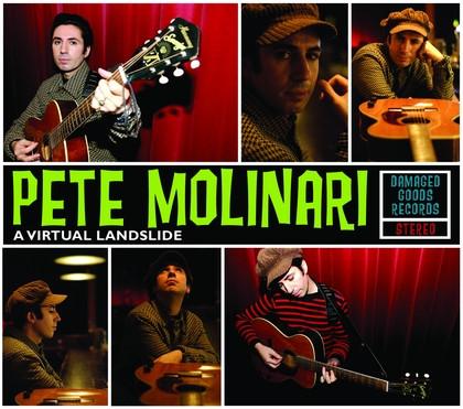 Pete Molinari - A Virtual Landslide