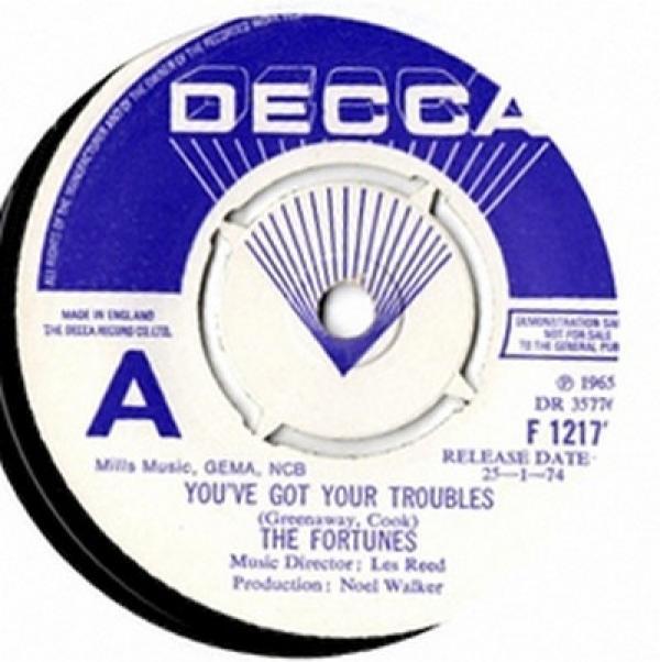 The Fortunes - You've Got Your Troubles