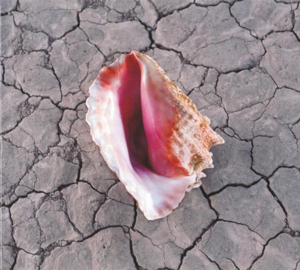 The Killers - Wonderful Wonderful