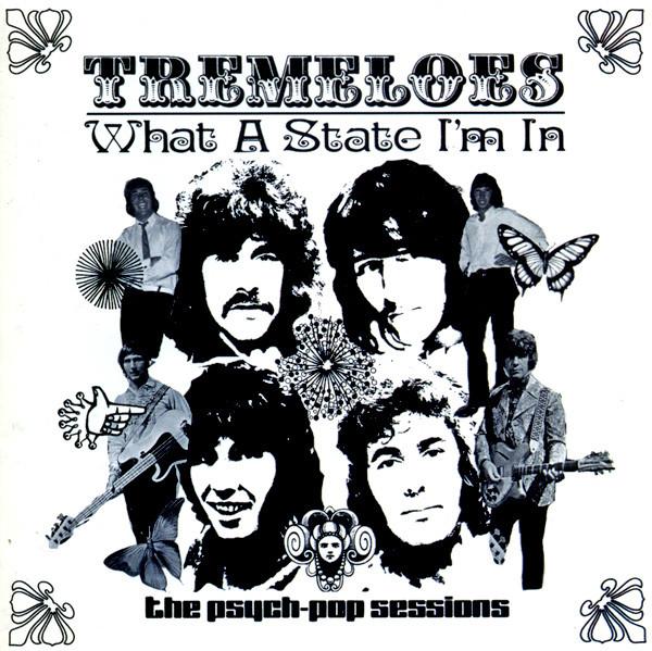 The Tremeloes - What A State I'm In
