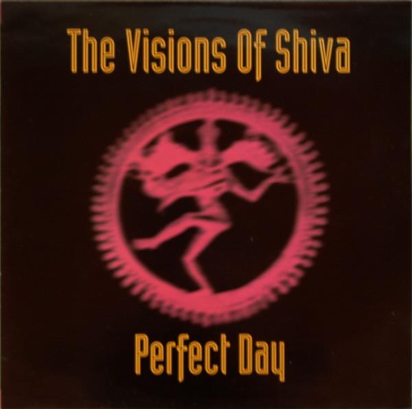 The Visions Of Shiva - Perfect Day