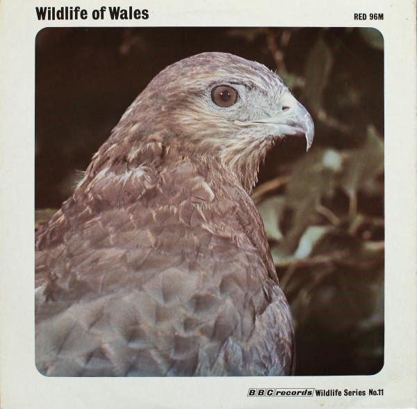  - Wildlife Of Wales