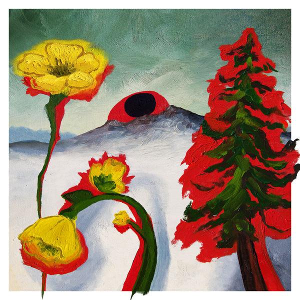 Woods (2) - Strange To Explain